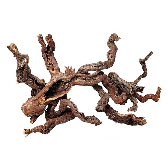 Centurion Wood Composition