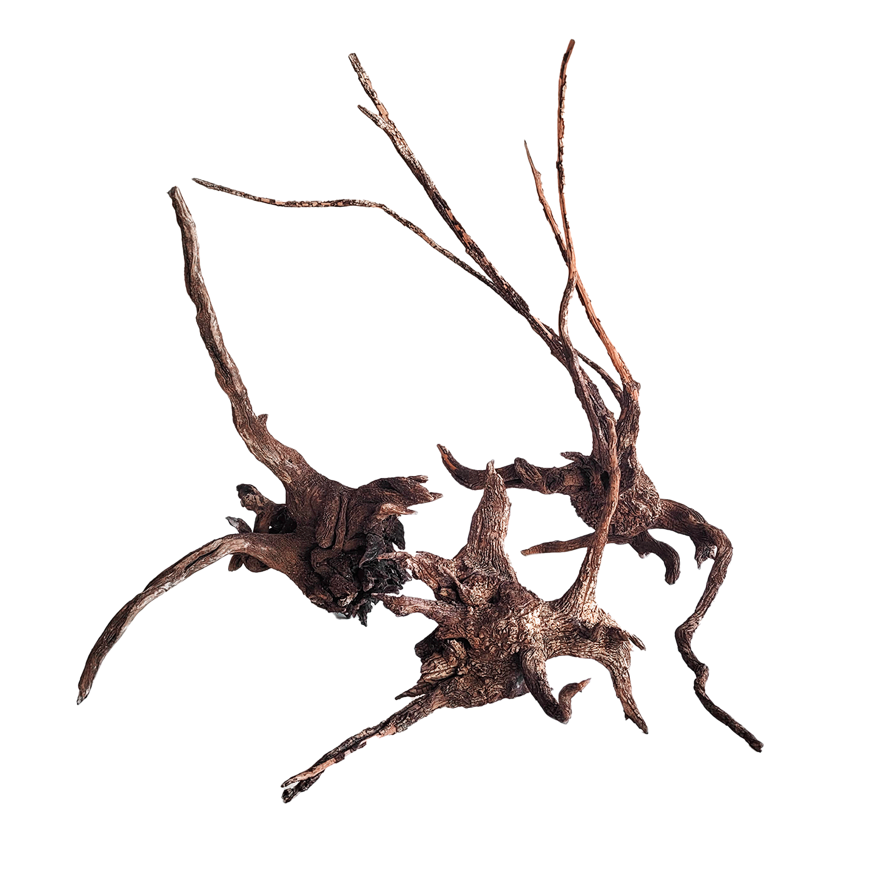 Striped Wood Composition