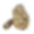 Elderly Boulder Stone Kit