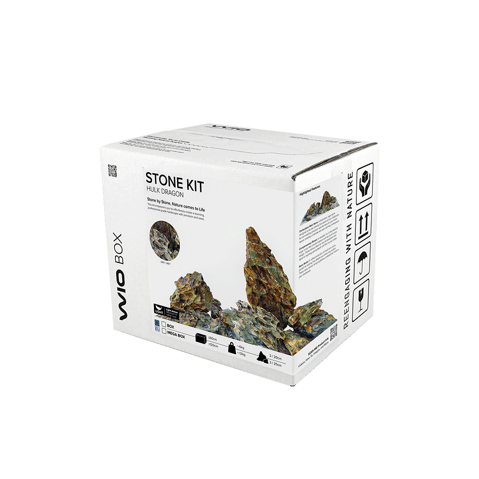 Miniatura: Hulk Dragon Stone Kit Box