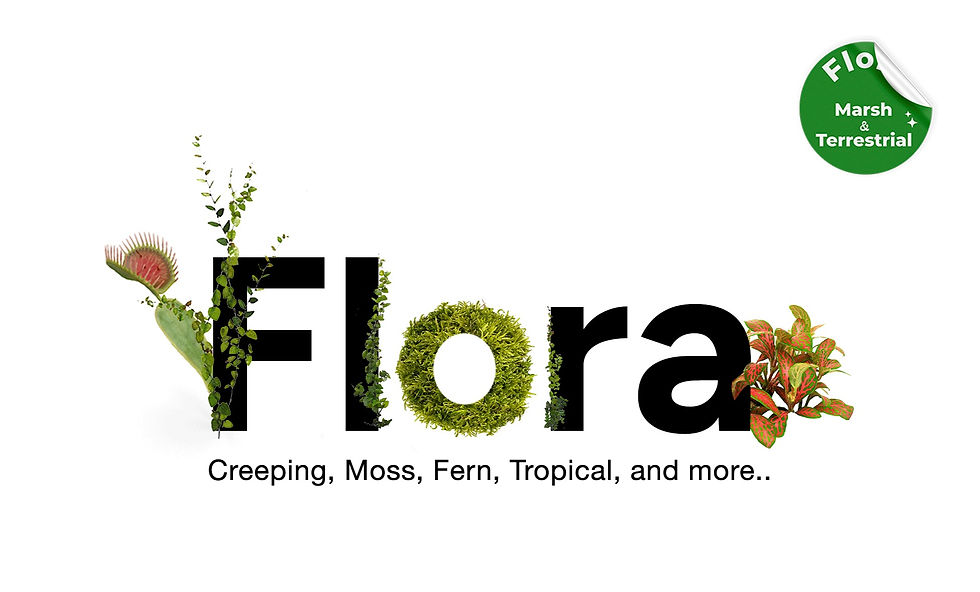 Portada Flora