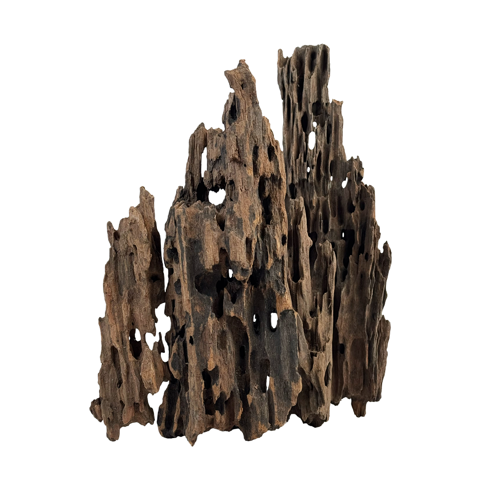 Dragonscale Wood Composition