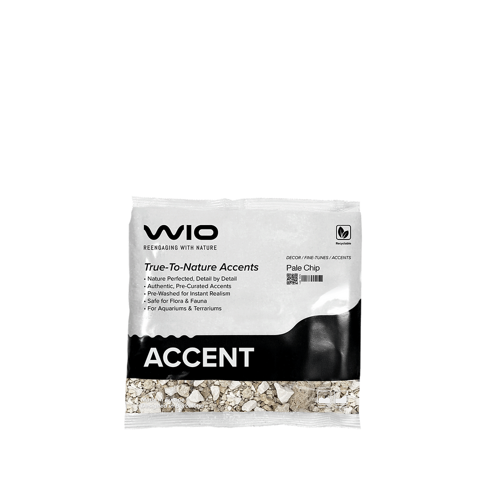 Miniatura: Pale Accent Petite