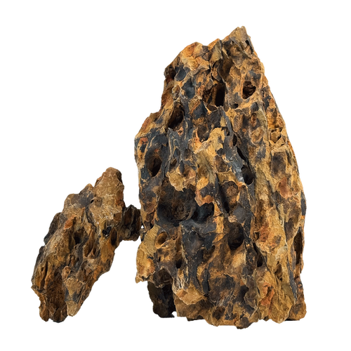 Dragon Stone Kit | WIO