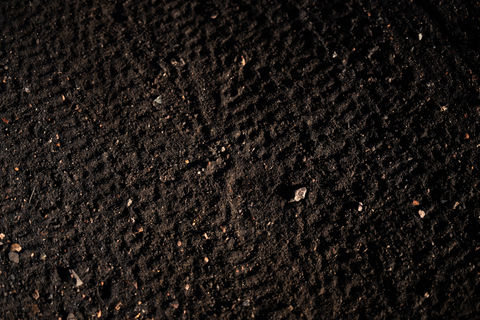 Photos-9