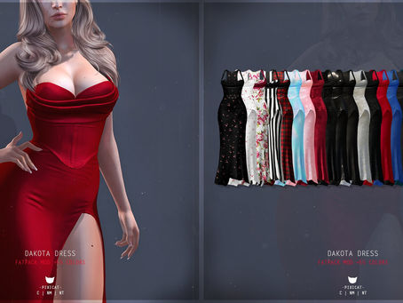 Pixicat Dakota Dress