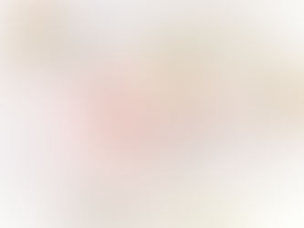 *::.who what.::* Spring 2021 VIP Gift