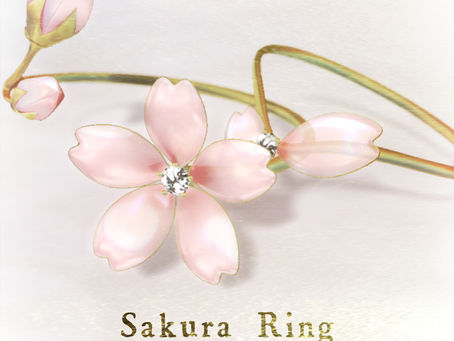 *::.who what.::* Spring 2021 VIP Gift
