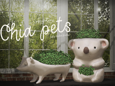 Vespertine Chia Pets Planters