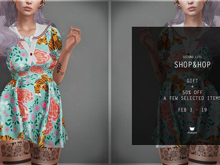 Pixicat Dress Gift