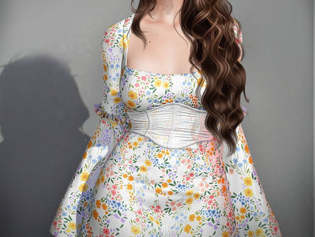 Pixicat Free Gift Dress