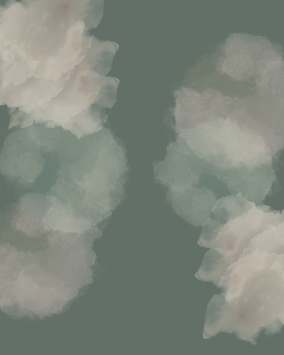 New Patient Portal.png