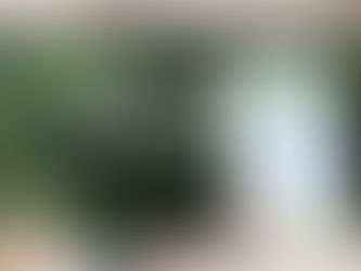 Detrás del producto: Dune, 30 años haciendo bonita la vida de la gente - Visita Planta Tlaxcala