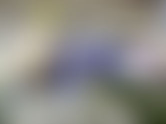 Recap Obra Blanca 2025: tendencias, lanzamientos y mucha inspiración