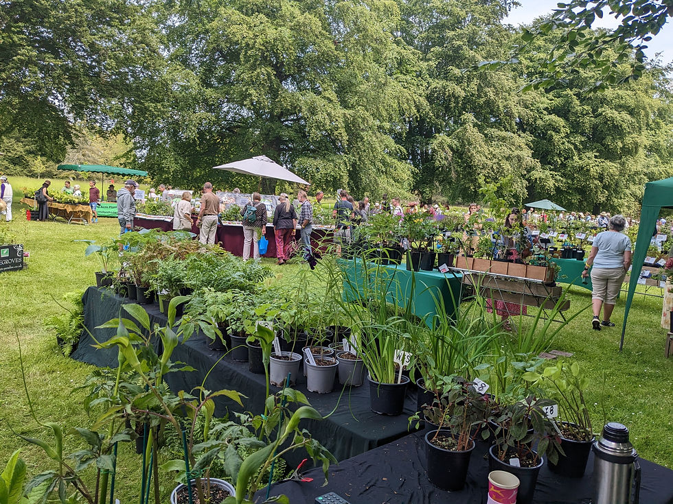 Arley Arboretum, Planthunters fair