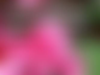 Worship Service for August 6, 2023