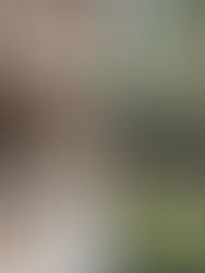 由陶泥到海風：5個把暑假變有趣的香港活動  