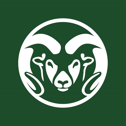 Rams-Logo-Reversed-one-color-768x769.jpeg