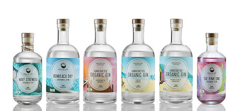 Bottles High Res.jpg