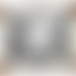 Os difíceis anos de consolidação da Casa: as décadas de 1940 e 1950