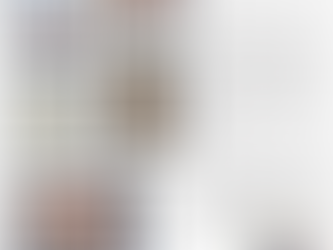 A História de uma Jovem Centenária.