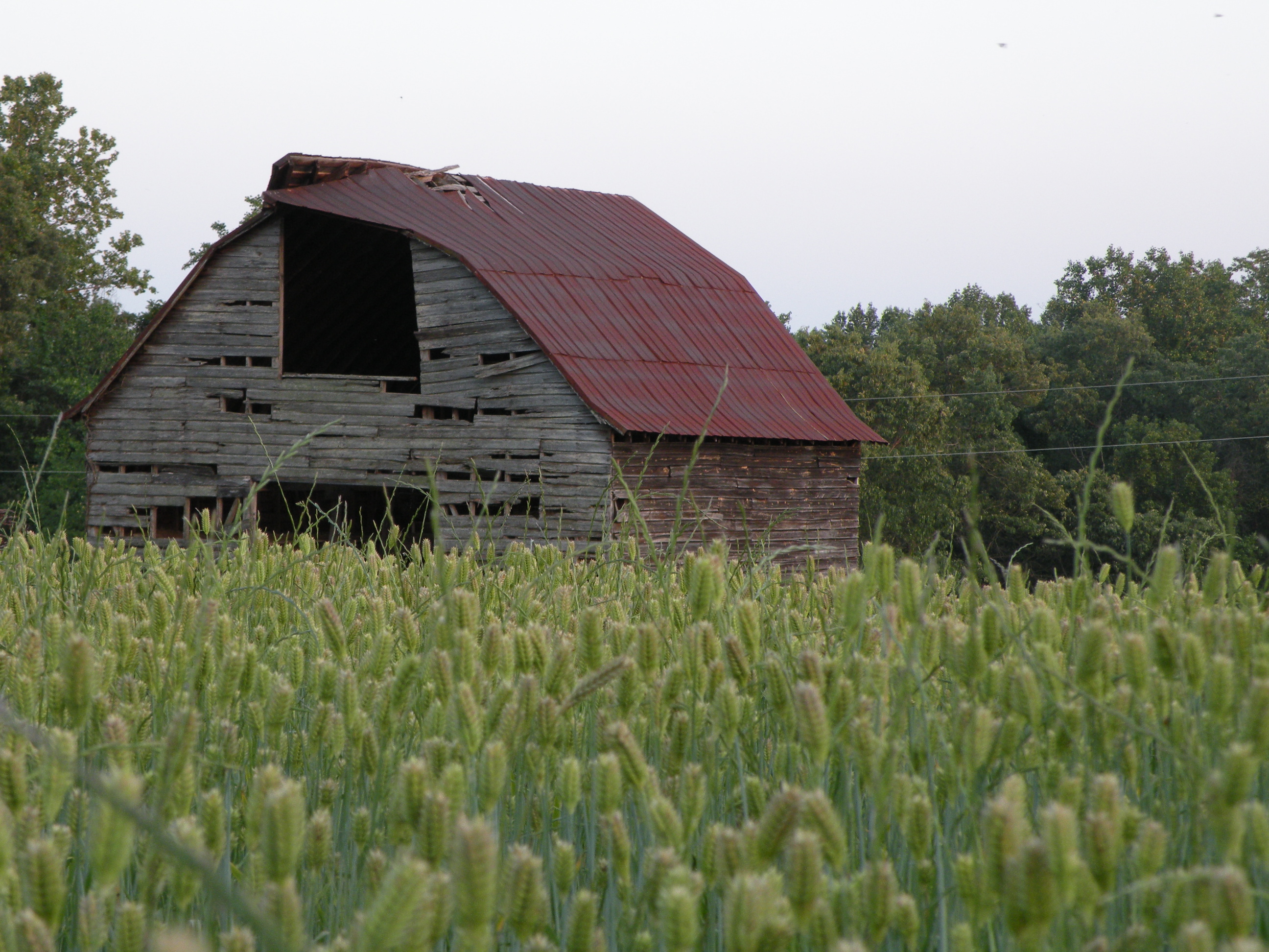 Yadkin County Farm Bureau Yadkinville NC
