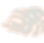 palm-2.png