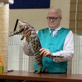 Turtle-Cattyshack1.JPEG