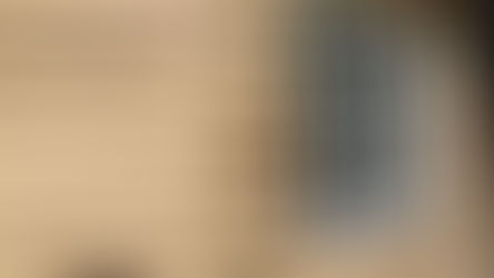 Feestelijke opening De wilgenschoot