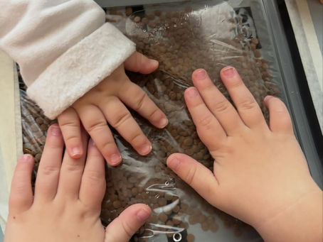 MANIPOLAZIONE SENSORIALE