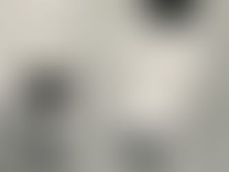 ARRIVEDERCI BIMBI 💚