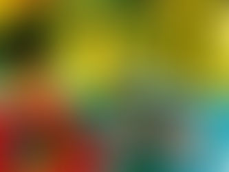 OGNI DONNA è IMPORTANTE - Castellamonte