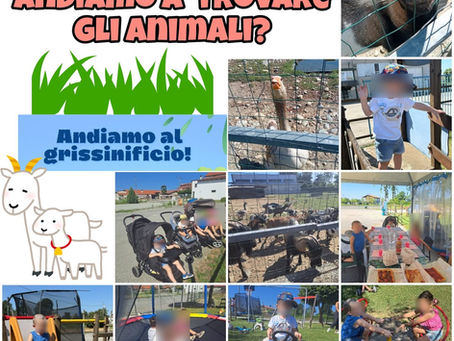 USCITE IN PASSEGGIATA