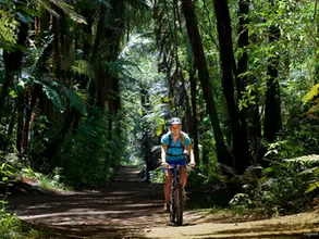 Rotorua: de mystieke stad van stoom en Māori Cultuur