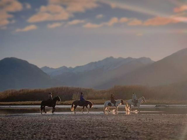 High country horses glenorchy