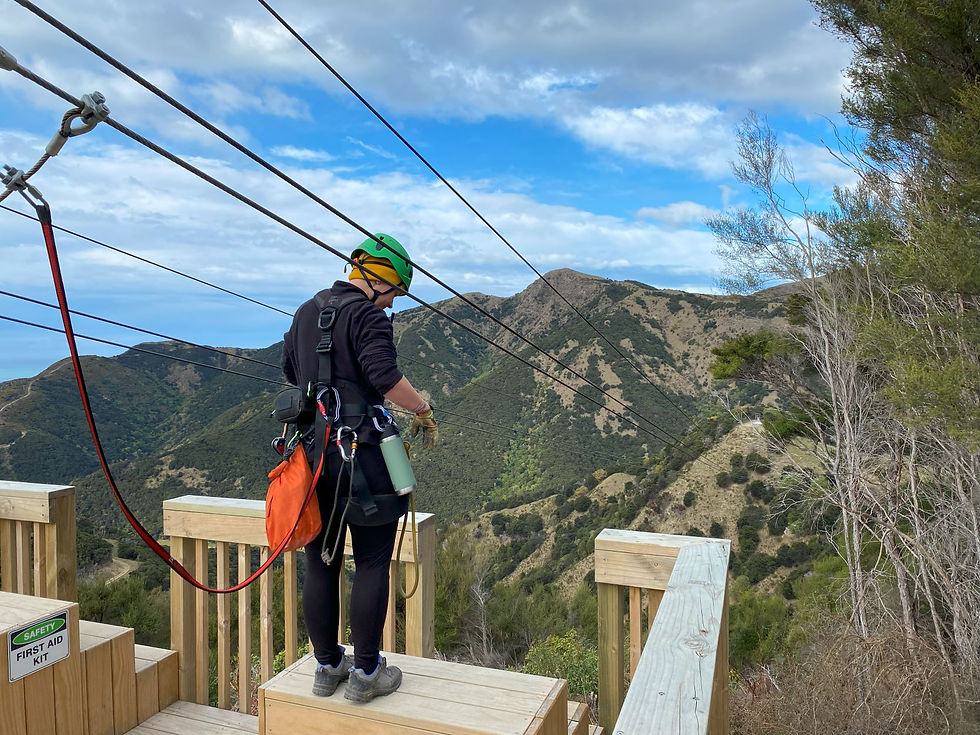EcoZip Kaikoura Tour - Natuurlijk NZ