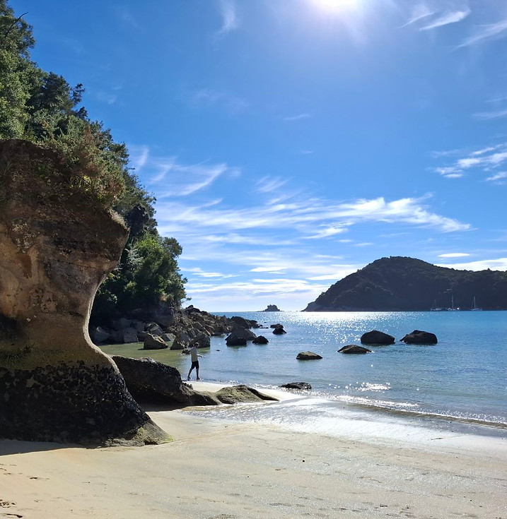 Uitzicht over Anchorage Bay in Abel Tasman National Park tijdens een unieke rondreis door Nieuw-Zeeland