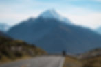 Sheep New Zealand crossing the road at Aoraki Mt Cook.