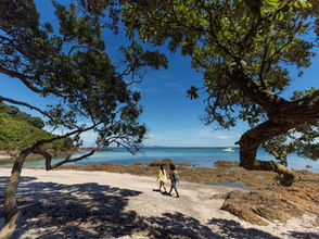 Van Waiheke Island tot Tiritiri Matangi; must visit Auckland eilanden in de Hauraki Gulf
