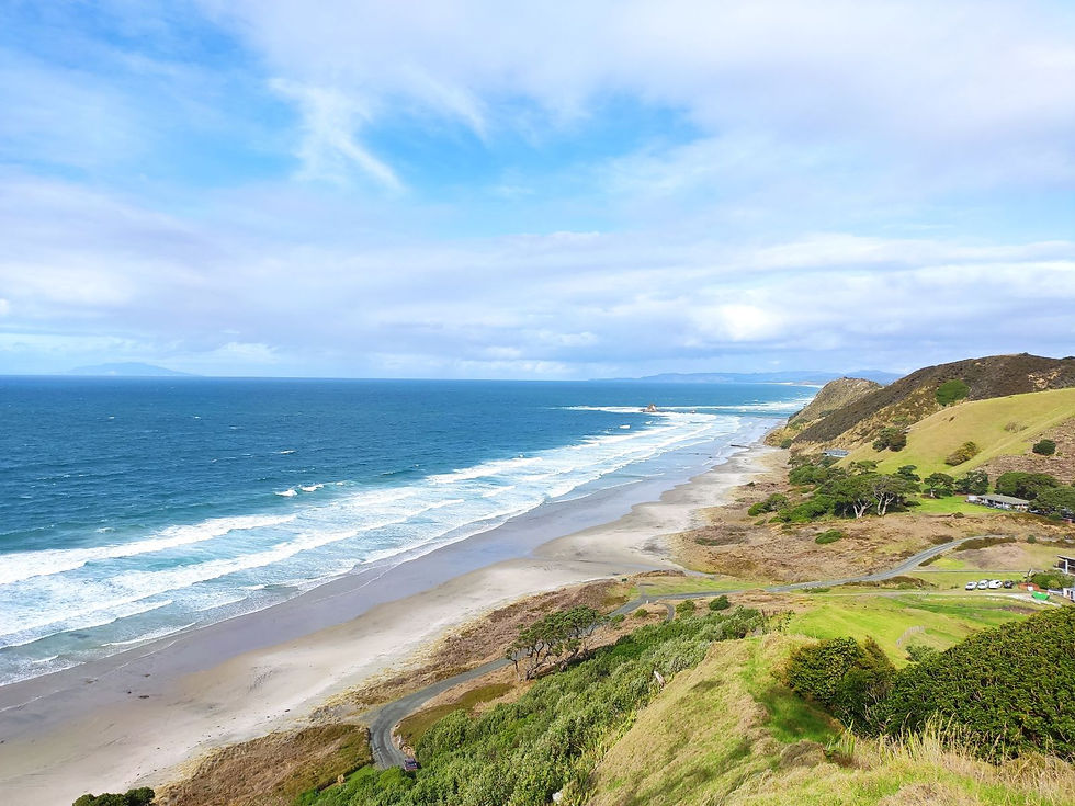 Uitzicht op de blauwe oceaan vanaf de Mangawhai Cliff Walk, onderdeel van de langeafstandswandeling Te Araroa in Nieuw-Zeeland.