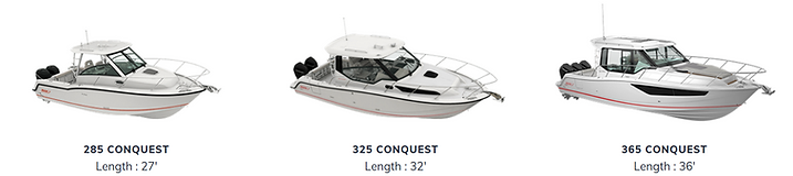 Conquest model.png