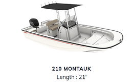 montauk model 2.png