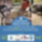 blakely-training-website.jpg