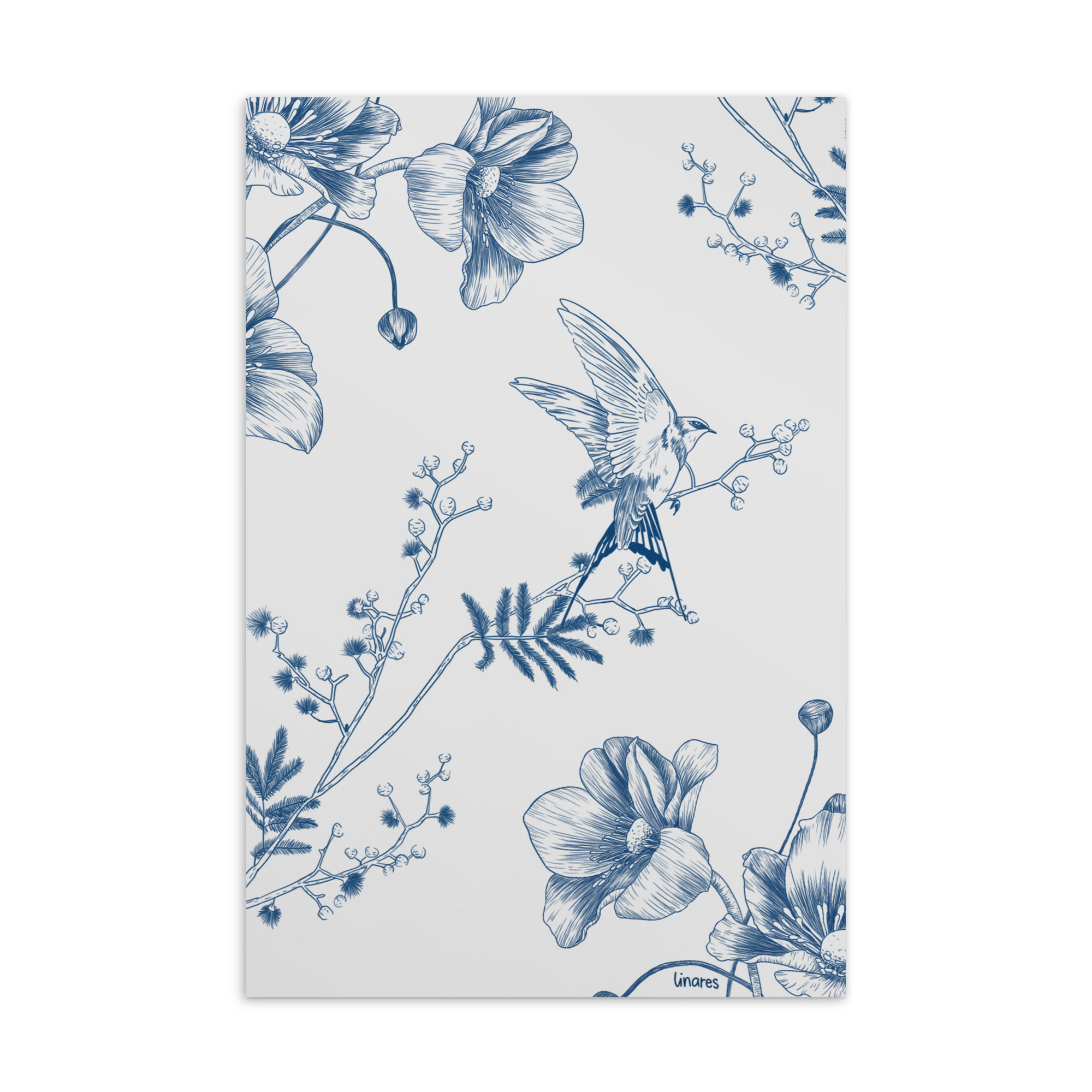 Vachellia Farnesiana