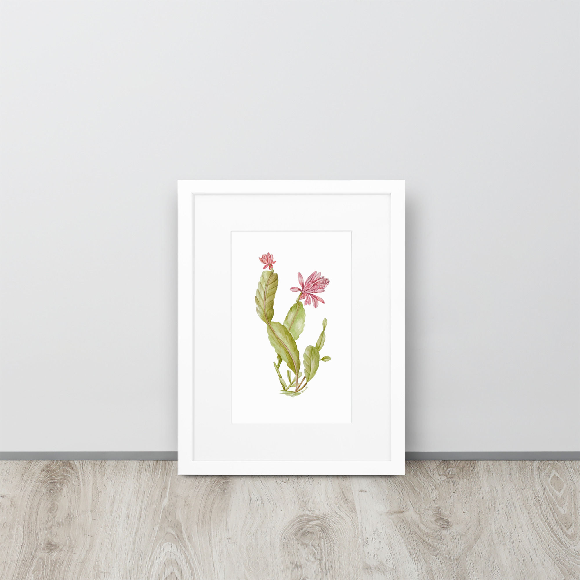 Print Enmarcado Disocactuts Phyllanthoides