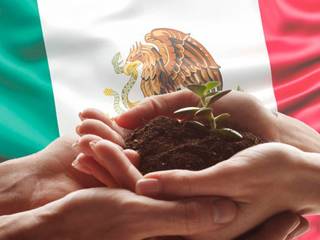 Encuentro en México por la Justicia Socioambiental y el Bienestar Integral 