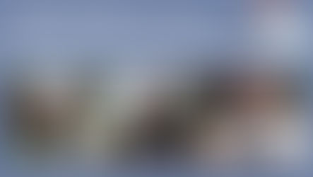 COPAJU y sus capítulos nacionales ratificaron el legado de Francisco