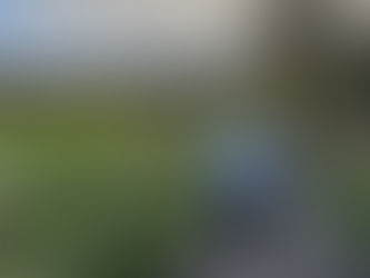 NEAT: IF you programme in walks to up your NEAT is still NEAT?