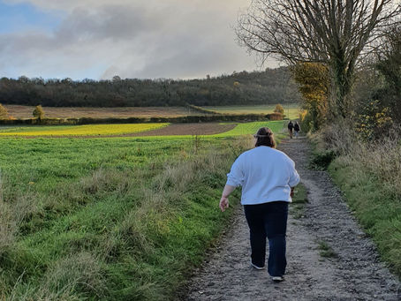 NEAT: IF you programme in walks to up your NEAT is still NEAT?