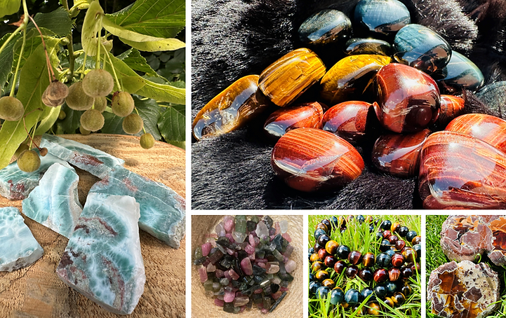 Photos FDB site 3.PNG